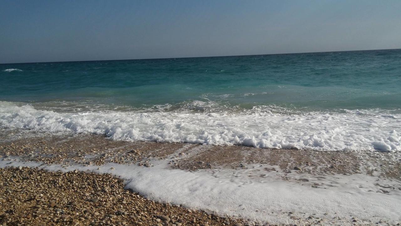 بيت شباب El Artista فيياخويوسا المظهر الخارجي الصورة