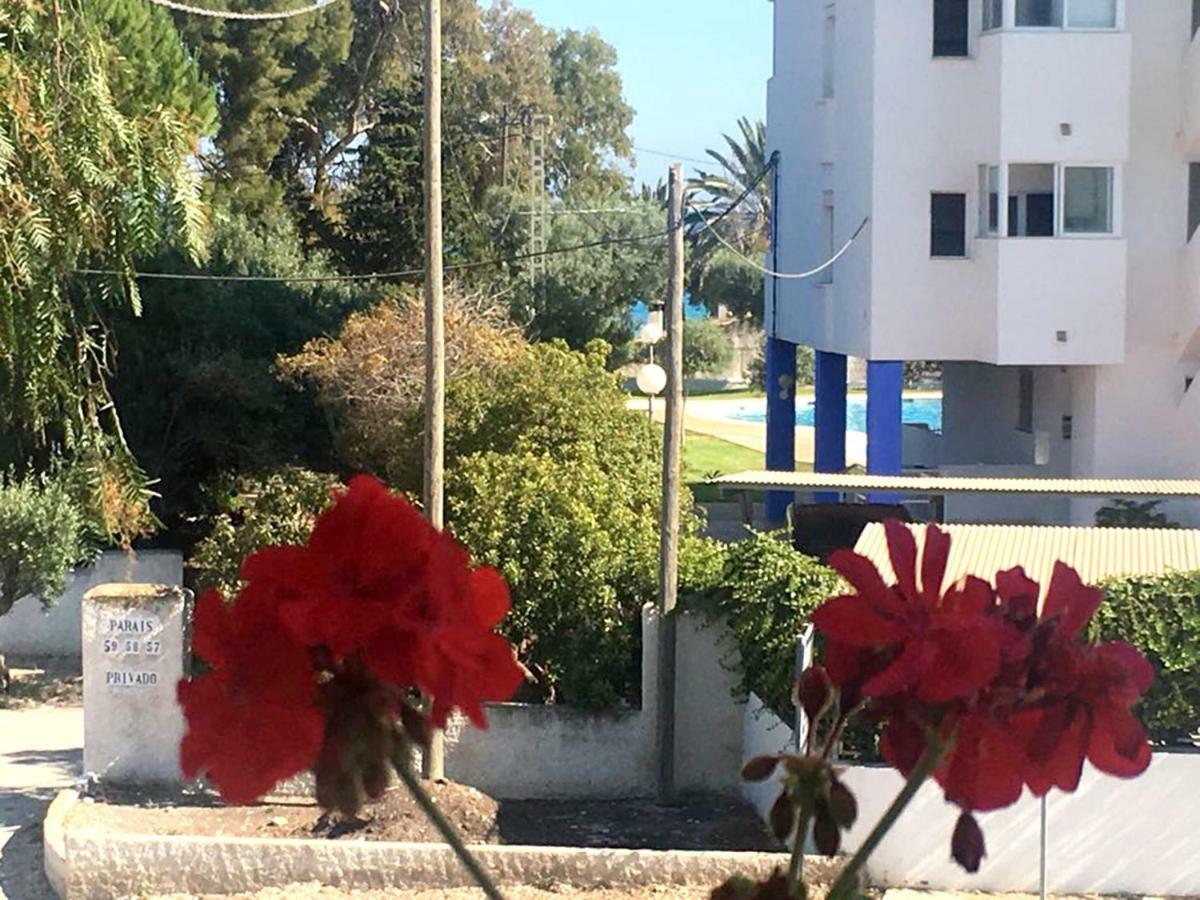 بيت شباب El Artista فيياخويوسا المظهر الخارجي الصورة